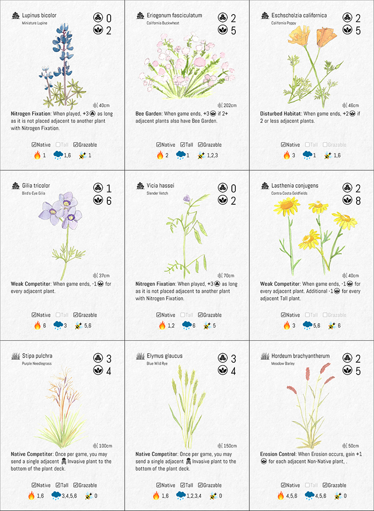 Hand-painted plant cards, set one