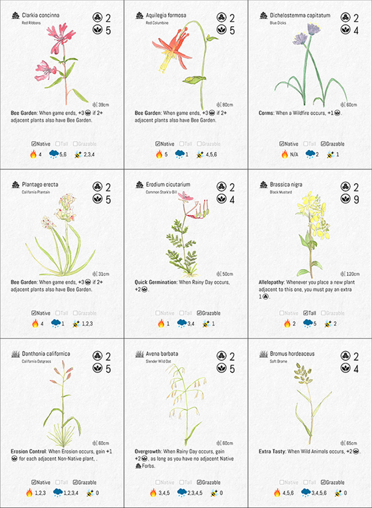 Hand-painted plant cards, set two