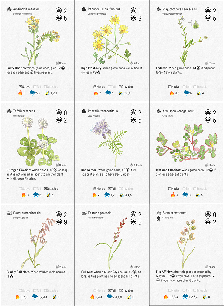 Hand-painted plant cards, set three