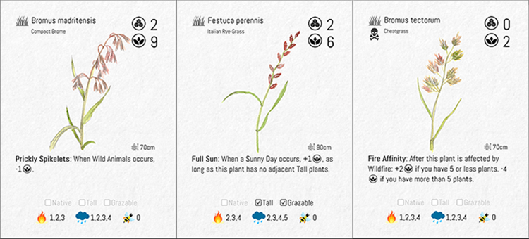 Hand-painted plant cards, set four