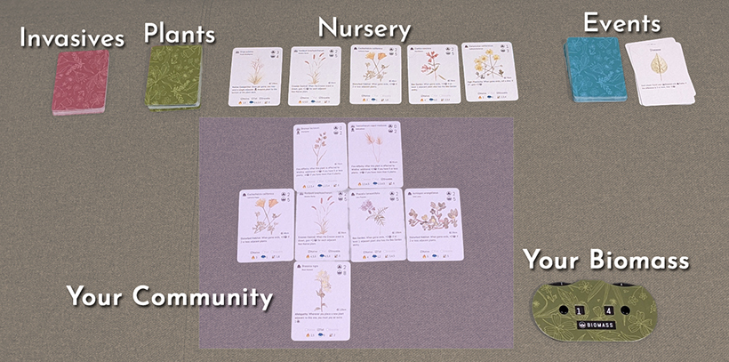 Table layout of a typical game of Restoria