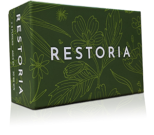 Restoria game box